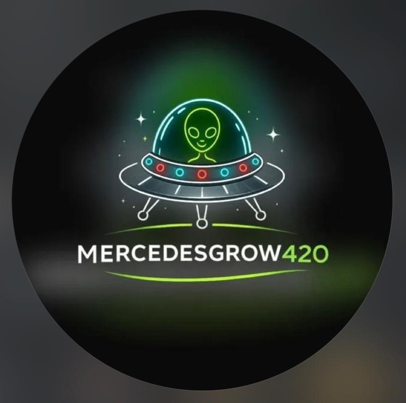 Mercedes Grow Mercedes Grow